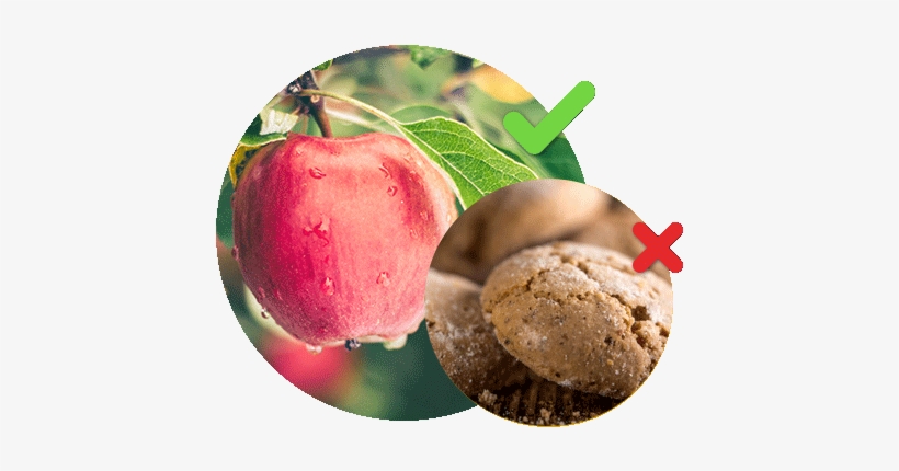 Nectarine, transparent png #4288926