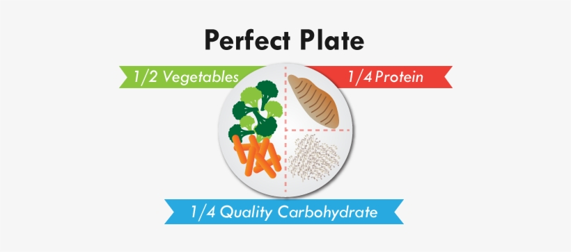 Carbohydrates Are Your Body's Primary Source Of Fuel - Quarter Quarter Half Diet, transparent png #4288948