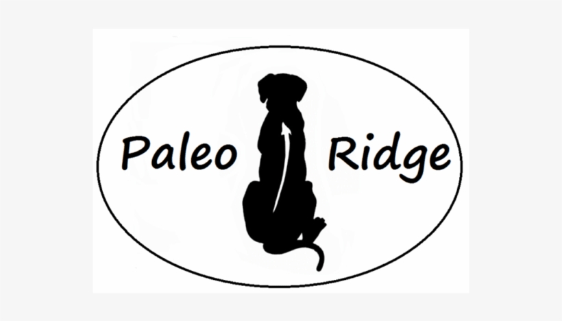 Home - Rhodesian Ridgeback Silhouette, transparent png #4289164
