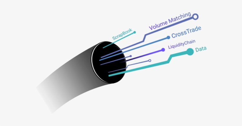 Connectivity - Portable Network Graphics, transparent png #4289419