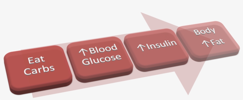 Guyton Says “the Foods On Which The Body Lives Can - Voluntary Association, transparent png #4289852