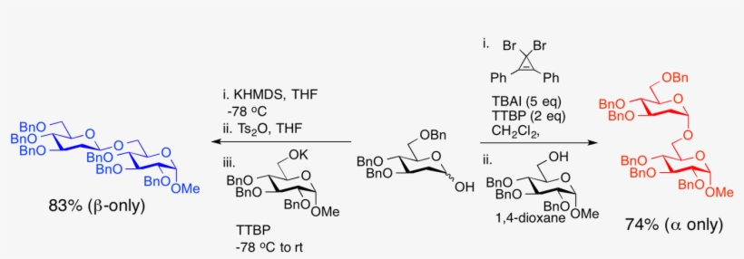 Total Synthesis Of Antimicrobial Complex Carbohydrates - Diagram, transparent png #4289916