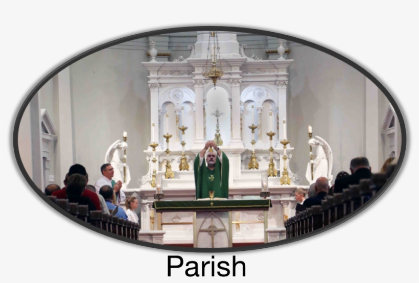 Shs 5k Results - Parish, transparent png #4290668