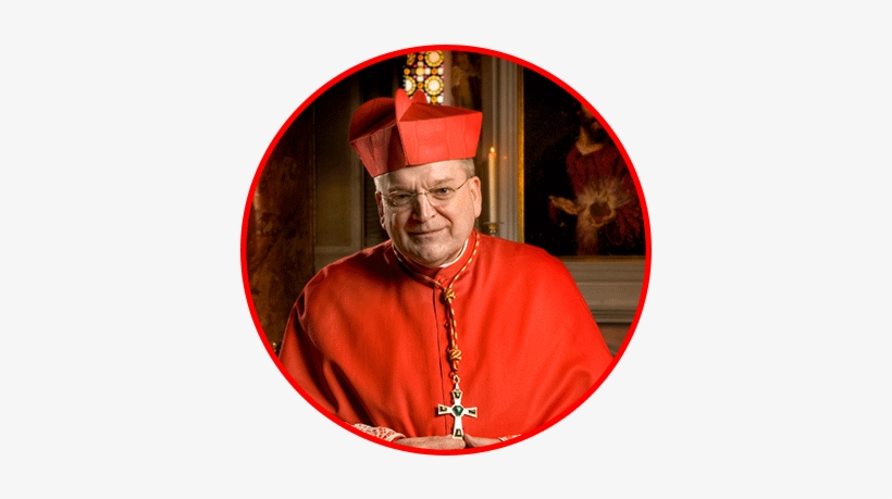 Burke - Cardinale Burke, transparent png #4290934