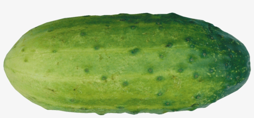 Cucumber Clipart Png Cucumber Clipart - Cucumber, transparent png #4291078