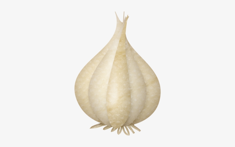 Lliella Homecookedmeal Garlic - Digital Scrapbooking, transparent png #4291137