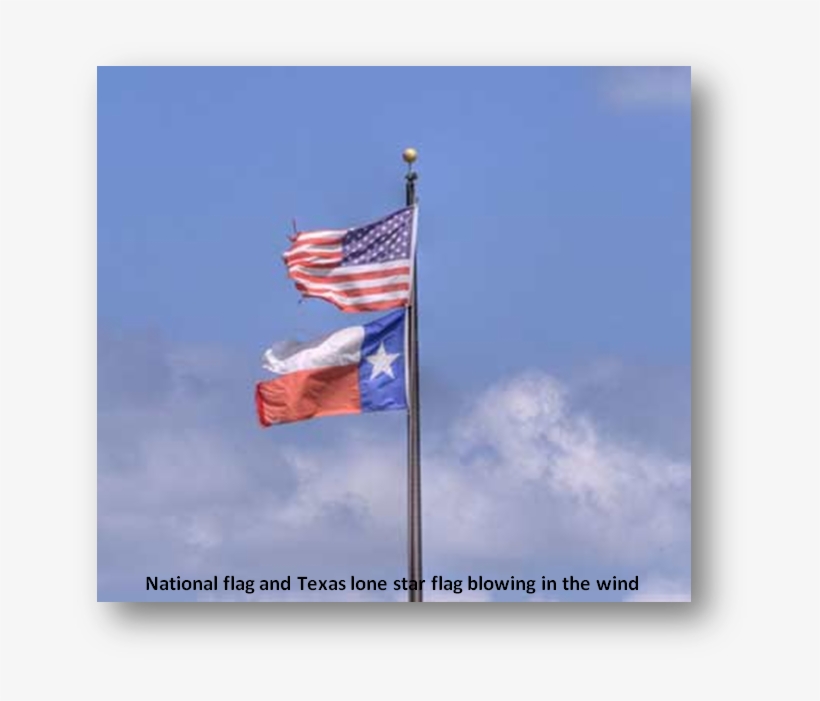 When Texas Became A State Of The United States On December - Texas, transparent png #4291158