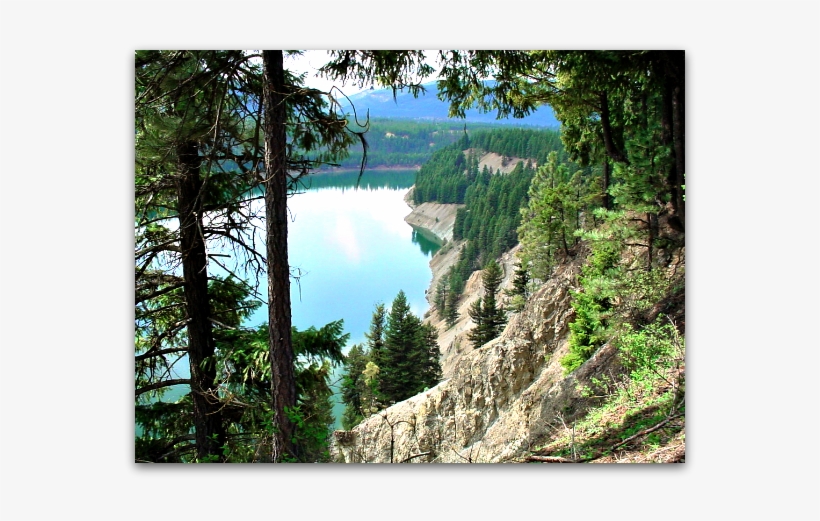 Mission Impossible - Larch, transparent png #4291614