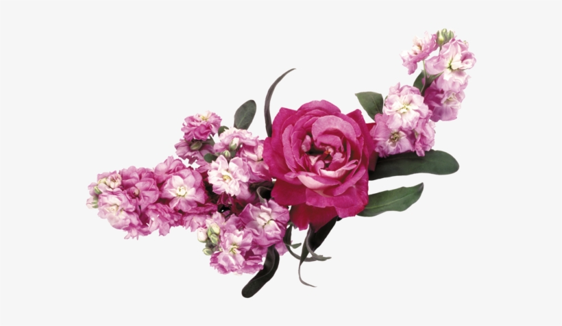 Feliz Dia De Las Madres Mis Amigas - Цветы Для Фотошопа Png, transparent png #4293716