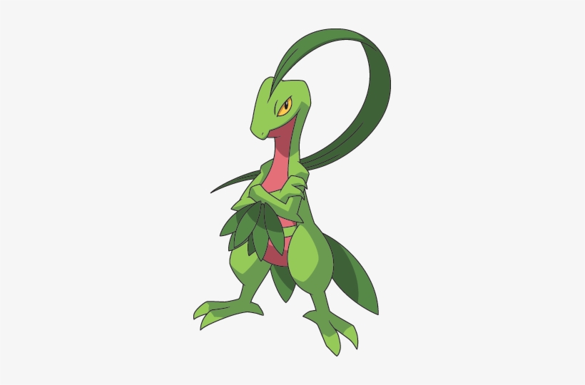 253grovyle Ag Anime 2 - Wiki, transparent png #4295126