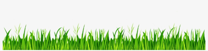 How To Use A Full Width Image As Border Between Content - Grass White Background, transparent png #4295185