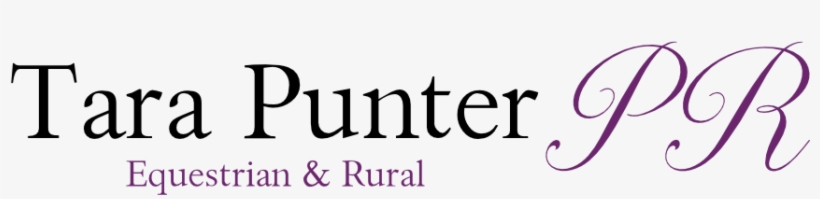 Horse Head Silhouette Pendant - Illustration, transparent png #4296494