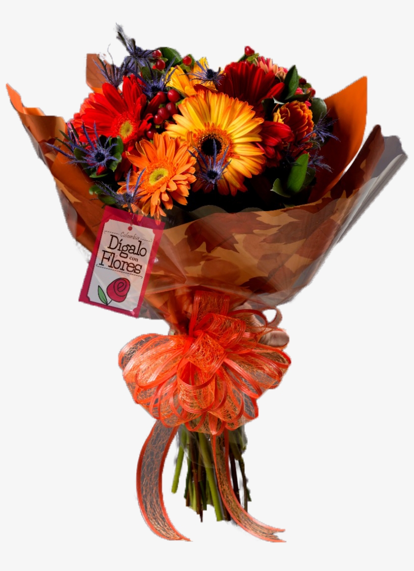 ¡hola Gracias Por Visitarnos - Flower, transparent png #4297326
