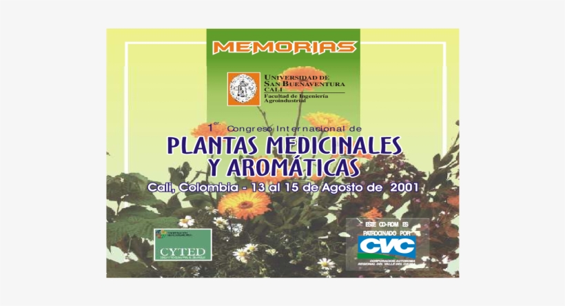 Curry O Flor De San Juan / - Flyer, transparent png #4297595