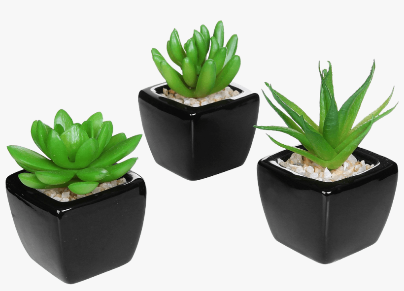 Details - Small Green Fake Plants, transparent png #4299356
