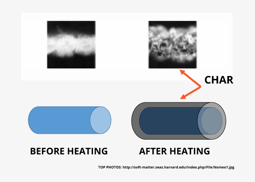 The Thicker Fiber Does Two Very Important Things - Circle, transparent png #4299390