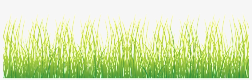 Hierba De Primavera Patron - Grass, transparent png #4299810