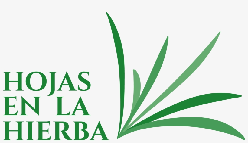 Hojas En La Hierba Es El Nombre De Una Colección De - Ecology, transparent png #4299919