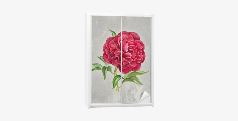 Watercolor Peony Flower - Watercolor Painting, transparent png #430156