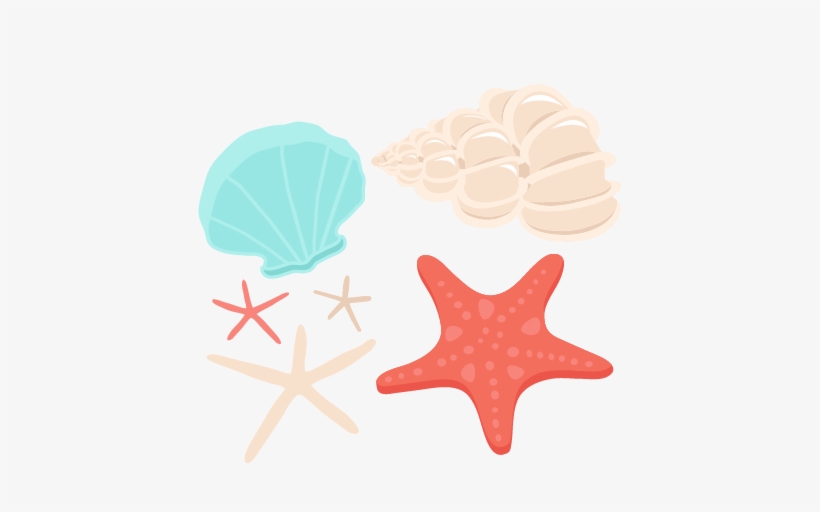 Best Pictures Of Conch Shells Transparent Background - Seashells Clipart Png, transparent png #430329