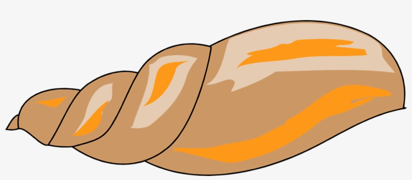 Shell Clipart Transparent Background, transparent png #430937