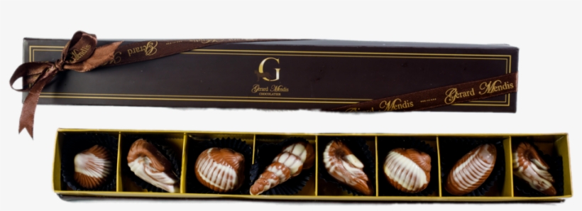 Seashells 8 Piece Chic Paperboard Box - Shell, transparent png #431119