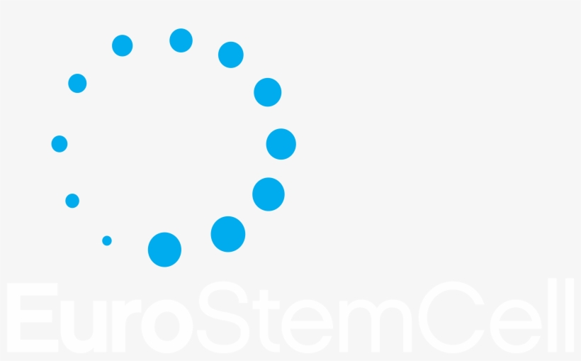 Logo Transparent Background - Circle, transparent png #431424