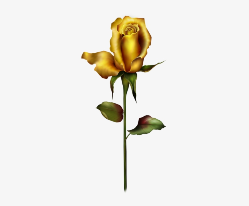 Yellow Rose Bud Png Clipart - Golden Rose Bud Png, transparent png #431915