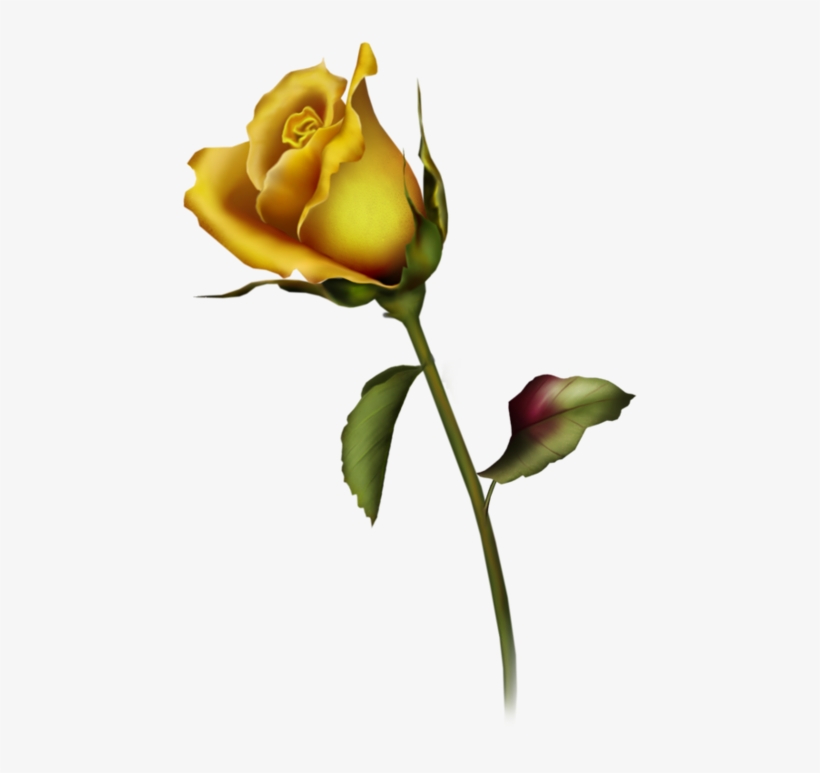 Yellow Rose Bud Clip Art - Rose Bud Tattoo Design, transparent png #431935