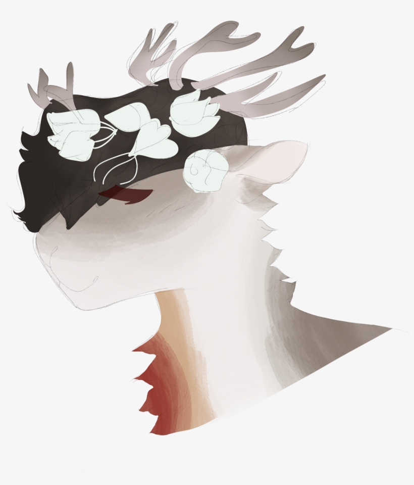 Art For Pets - Illustration, transparent png #432458