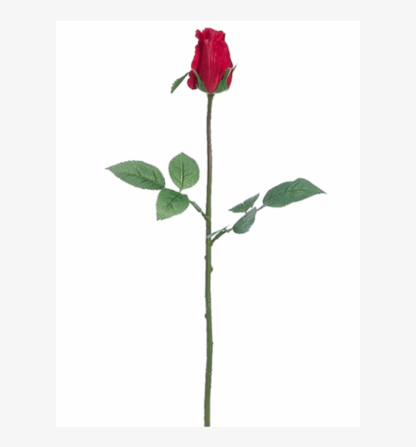 5" Rose Bud Spray Red - Floribunda, transparent png #432483