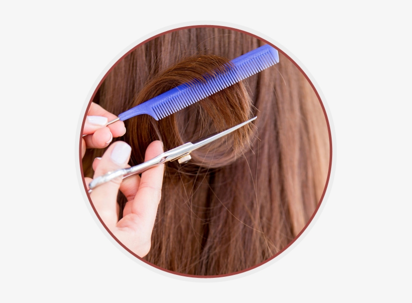 Circle - Lorenzo Pasquale Hair Design, transparent png #432898