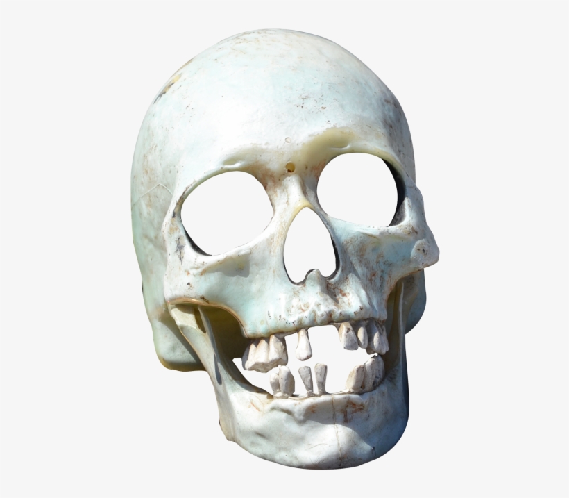 Skull Png Transparent Image - Skull Png, transparent png #432928