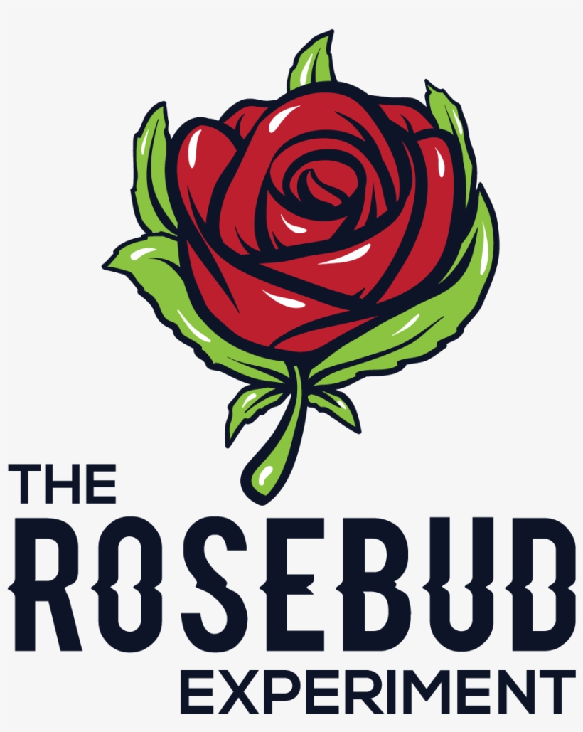 The Rosebud - Big Brother Brasil 15, transparent png #433065
