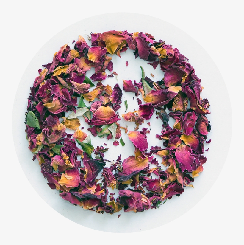 Rose Buds And Petals - Buds And Petals, transparent png #433539