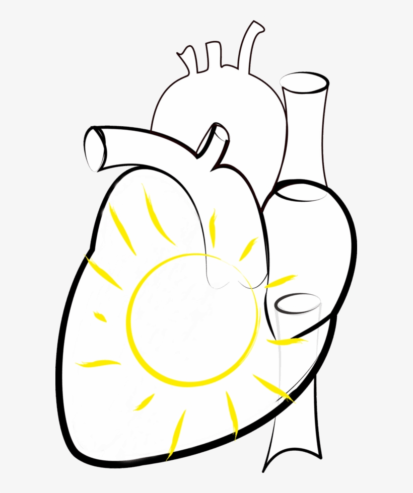 Vector, Photomontage, Illustration, Sketch, Heart, - Dibujo De Salud, transparent png #433626