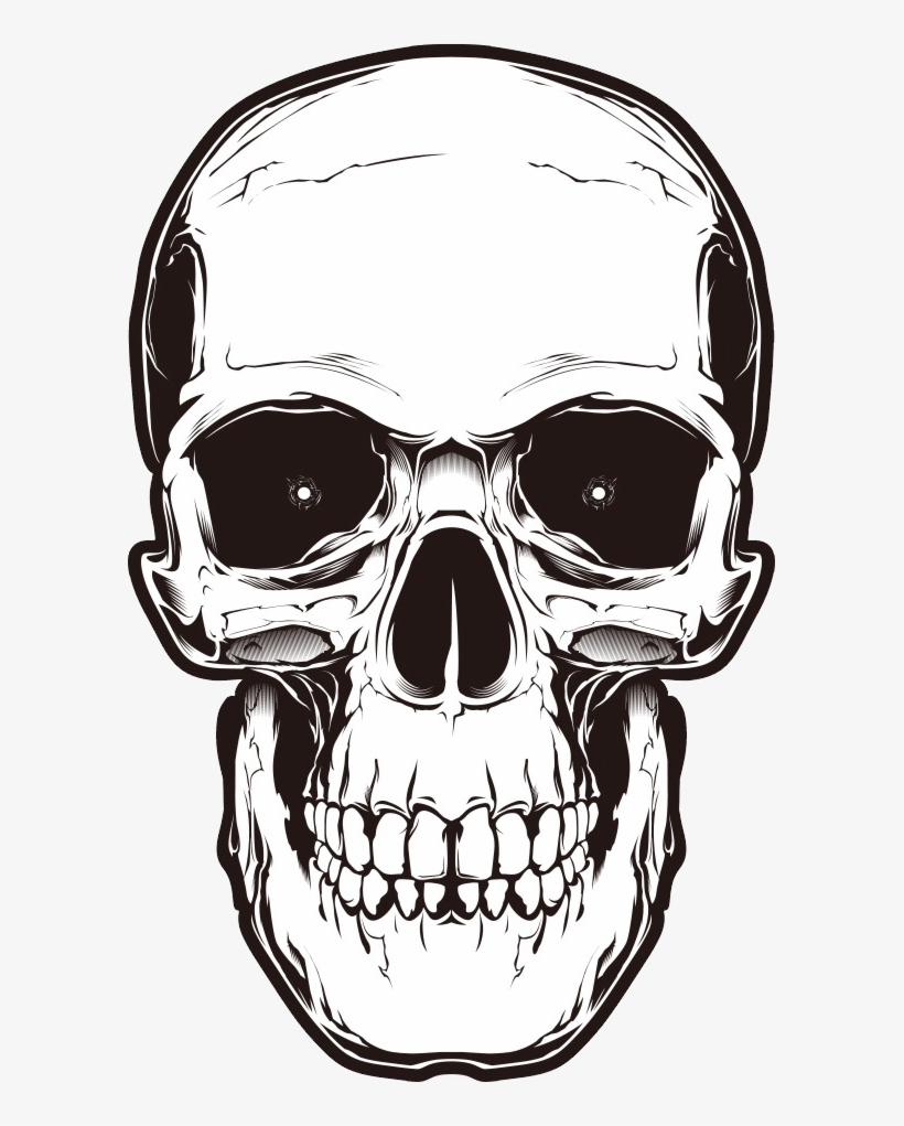 Skull Png, transparent png #433960