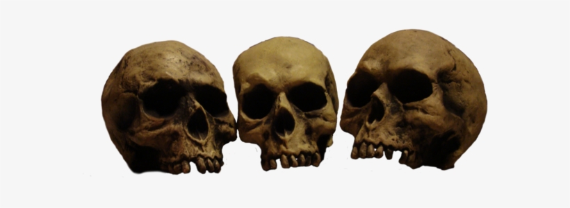 Png Skulls Banner Stock - Skulls In A Row, transparent png #434264
