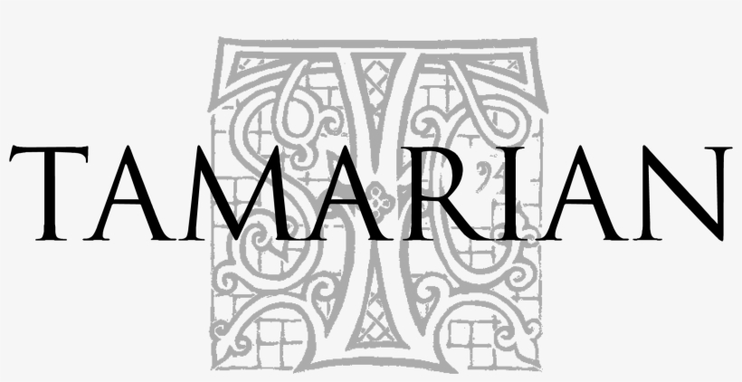 Doubtlessly Many Visitors Here Are Now Aware That I - Stamford American School Logo, transparent png #434710