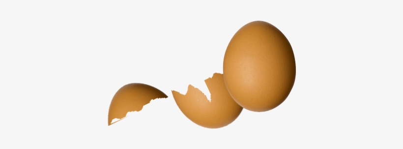 Broken Egg Png - Egg, transparent png #437547