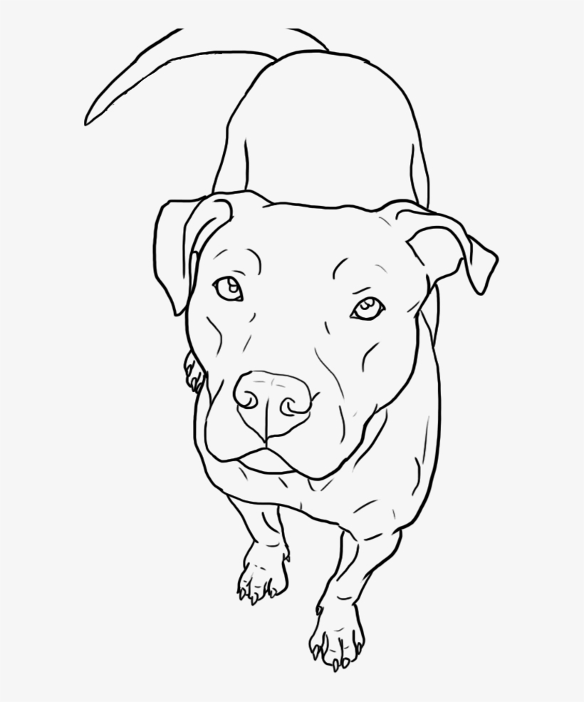 Pitbull - Easy Pitbull Face Drawings, transparent png #438019