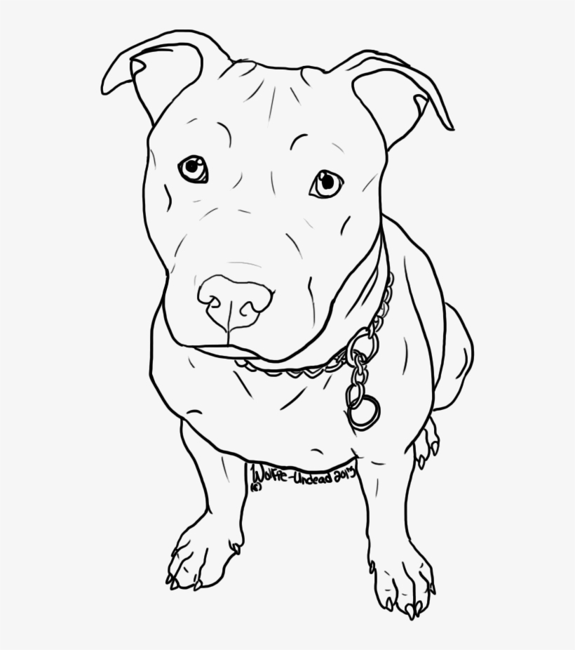 Free Pit Bull Line Art 7 By Wolfie Undead D6tvryp Png - Easy Drawings Of Pitbulls, transparent png #438311