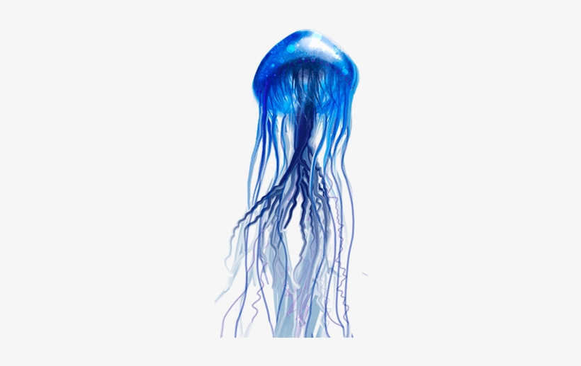 Medusa De Mar Png - Jellyfish, transparent png #438447