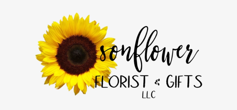 Store Logo Store Logo, transparent png #438471