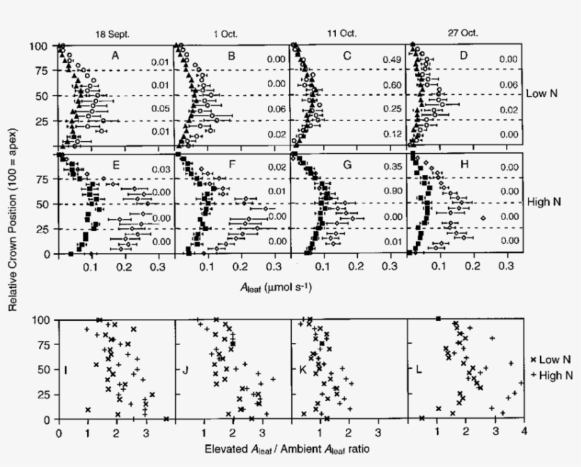 A H Whole Leaf Photosynthesis By Relative Crown Position - Document, transparent png #438563