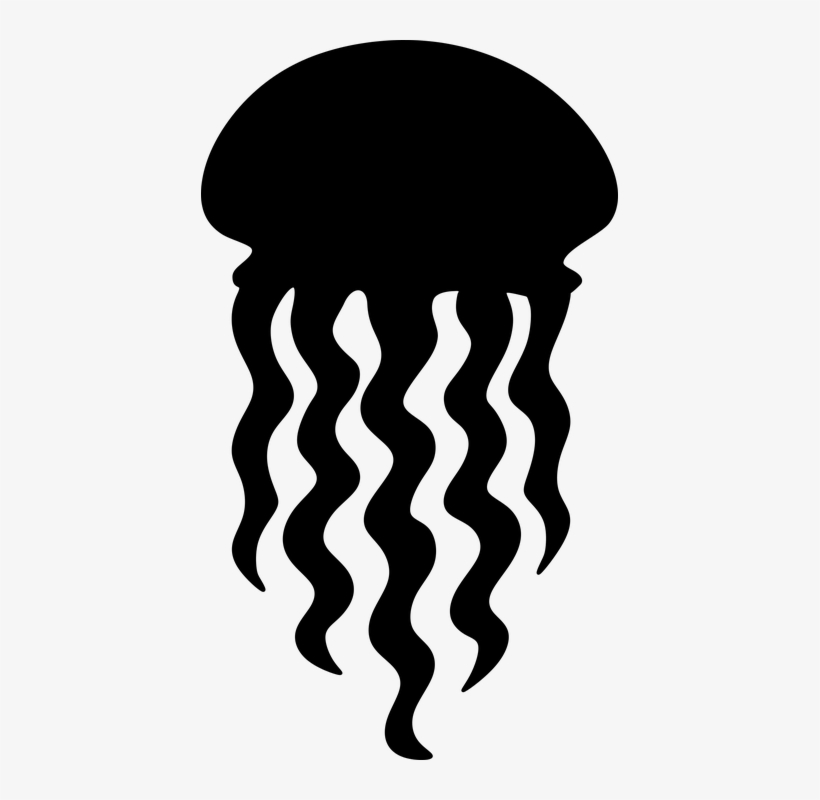 Clipart Free Download Phylum Cnidaria By Hailong Yang - Jellyfish Silhouette, transparent png #438591