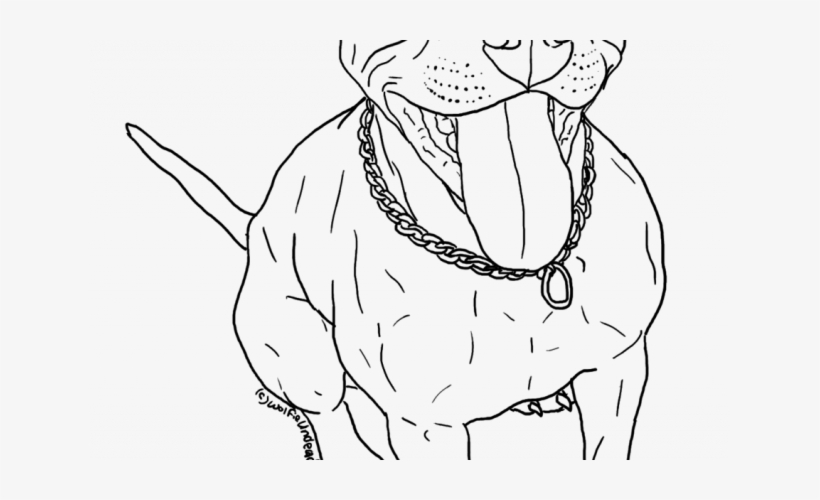 Drawn Pit Bull Pitbull Puppy - Pitbull Drawing, transparent png #439175