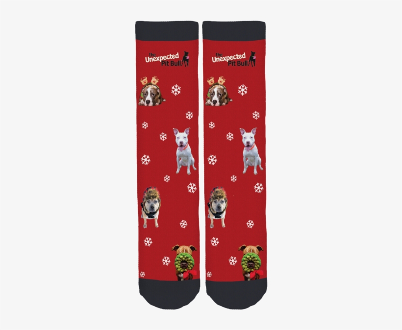 French Bulldog, transparent png #439272