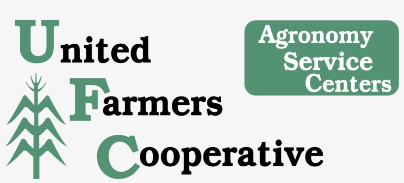 Ufc Logo Png Transparent - Ultimate Fighting Championship, transparent png #439683