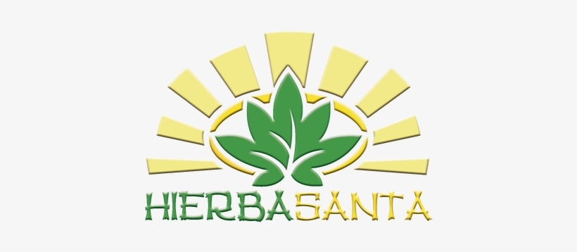 Graphic Design, transparent png #4300039